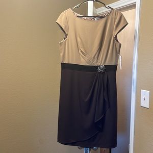 NWT: Sandra Darren Brown & Tan Dress